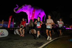 BIB: 
                            <button type="button" onclick="openModal(26534652)" class="btn btn-primary btn-sm float-right btn-popup" data-toggle="modal" data-target=".modal-high-quality">
                        <i class="fas fa-shopping-cart"></i> Add to Cart
                    </button>
                                            <button type="button" onclick="isThisMe(26534652, true)" class="btn btn-success btn-sm float-right btn-popup btn-isme hidden" data-toggle="tooltip" data-placement="bottom" title="นี่คือรูปของคุณใช่ไหม คลิกที่นี่เพื่อเอาเข้าอัลบั้ม">
                        <i class="fas fa-plus"></i> Add to album
                    </button>
                    <button type="button" onclick="isThisMe(26534652, false)" class="btn btn-warning btn-sm float-right btn-popup btn-isnotme hidden">
                        <i class="fas fa-ban"></i> Remove from album
                    </button>